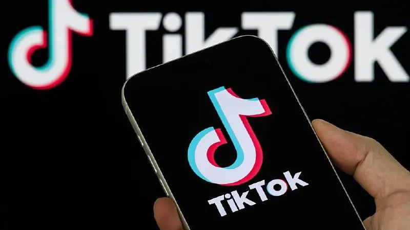 Платформу наказали после того, как она не удалила два ролика с так называемой «пропагандой нетрадиционных сексуальных отношений».