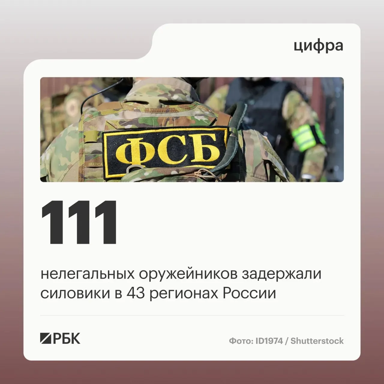 В ходе спецоперации задержанные занимались переделкой и продажей гражданского оружия; прекращена работа 37 подпольных мастерских.