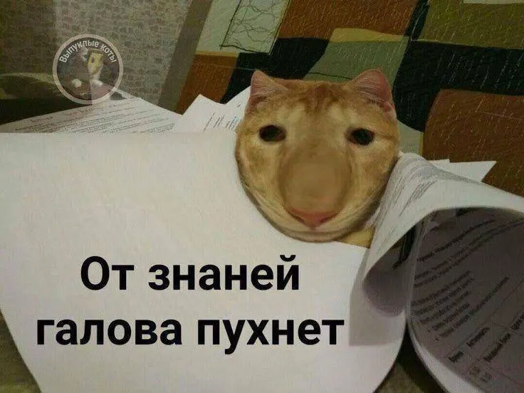 Министр спорта сообщил, что в этом году норматив по управлению небольшим дроном протестируют в Тульской области, а с следующего года его смогут сдавать по всей России. Знак ГТО по этому испытанию даст до 10 баллов к результатам экзамена.