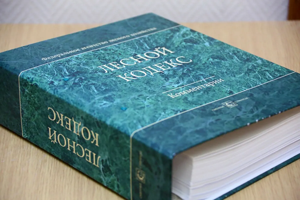 По мнению эксперта по лесному хозяйству, многочисленные поправки сделали кодекс неактуальным и создают риски для бизнеса и специалистов; необходим новый, компактный и понятный нормативный акт.