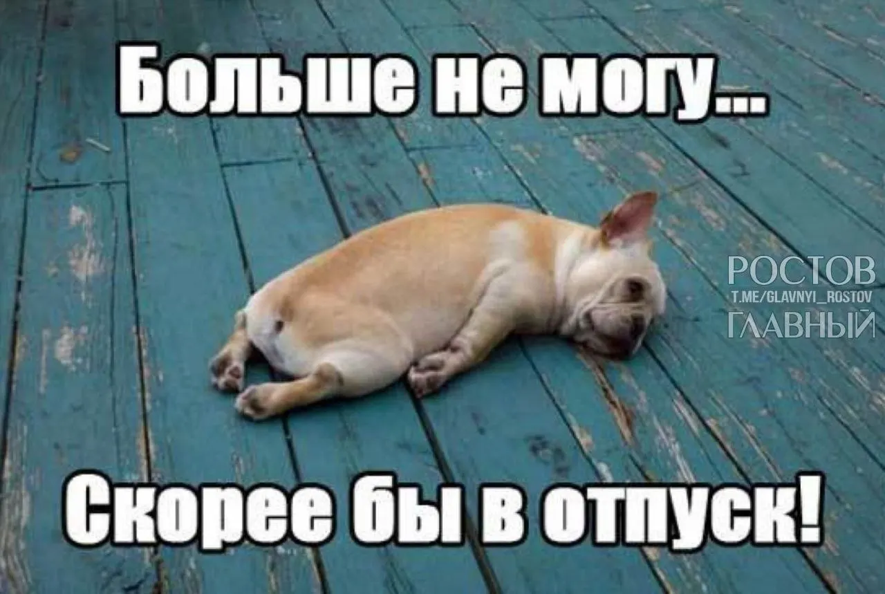 Депутаты предлагают повысить минимальную продолжительность отпуска с 28 до 35 дней, чтобы компенсировать выходные, вошедшие в отпуск, и снизить риск профессионального выгорания.