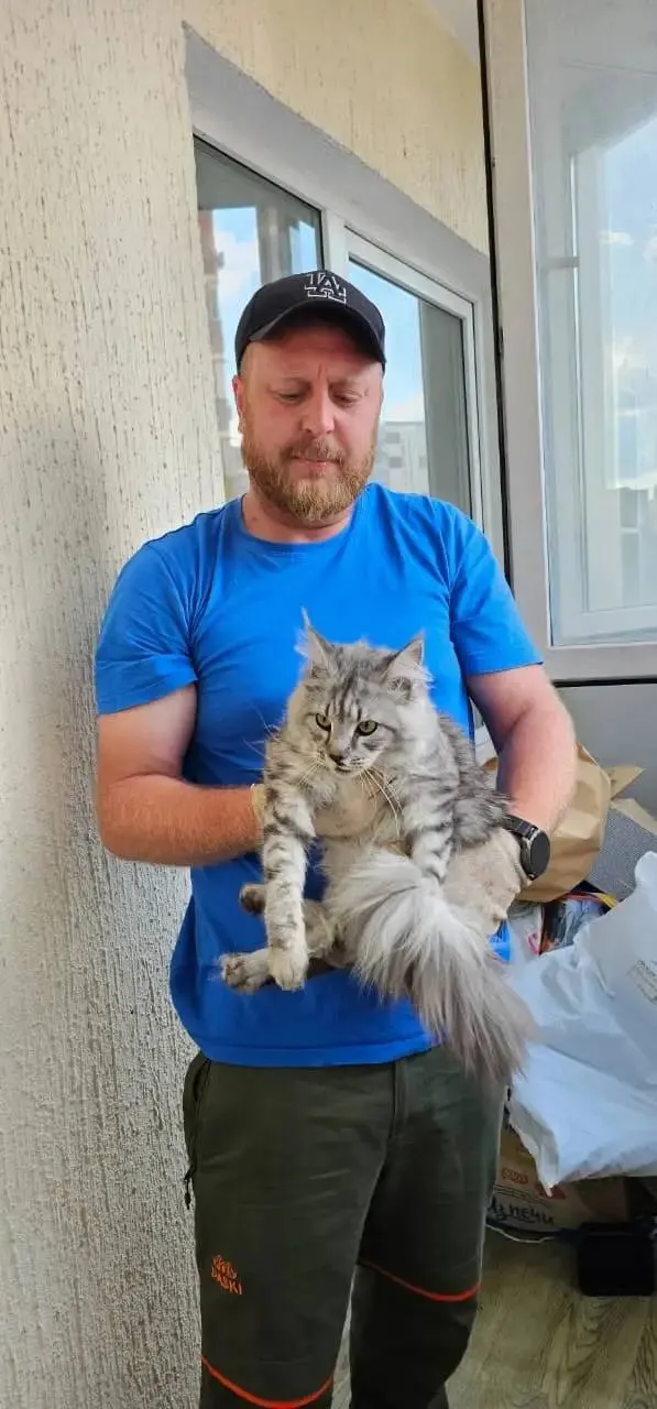 Спасатели вытащили кота, который после падения с окна шестого этажа остался на выступе третьего, и вернули животное хозяйке.