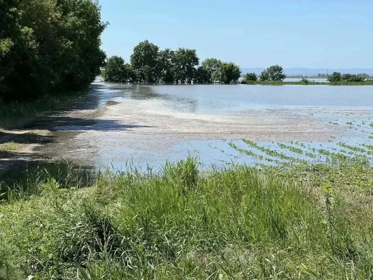 В результате прорыва защитного сооружения в Крымском районе подтоплению подверглись примерно 3,5 тысячи гектаров, из которых более 2,5 тысячи — сельхозугодья. В зоне эвакуации оказались около 180 человек, ведутся работы по укреплению и ликвидации последствий.