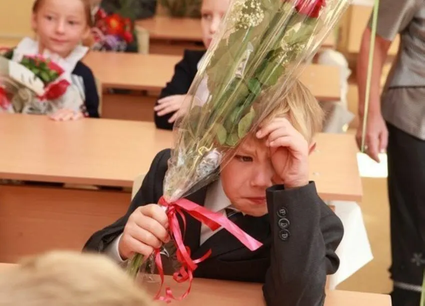 Замглавы Минпросвещения сообщил, что 11-летняя система признана оптимальной, планы по сокращению или увеличению числа классов отсутствуют. Стандарты будут разрабатывать с расчётом на 11 лет обучения.