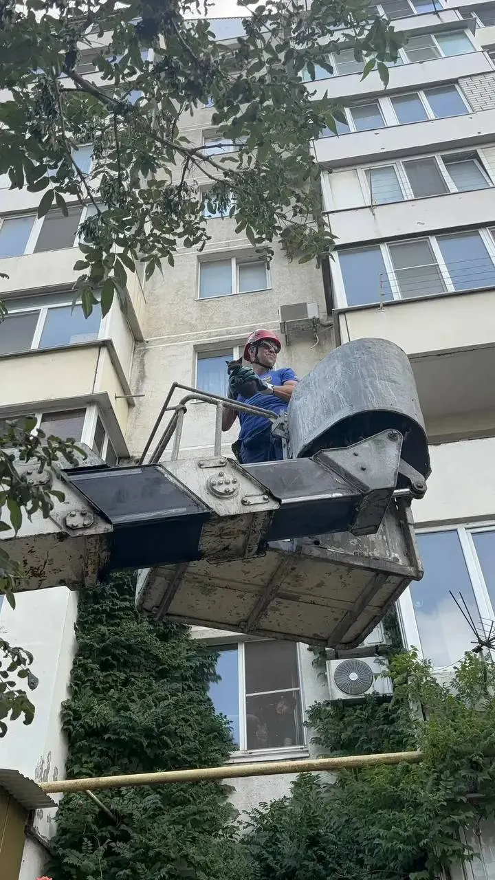 Котёнок сидел на карнизе третьего этажа, а квартира была закрыта. Очевидцы вызвали спасателей — при помощи автовышки животное удалось снять и вернуть в безопасность.