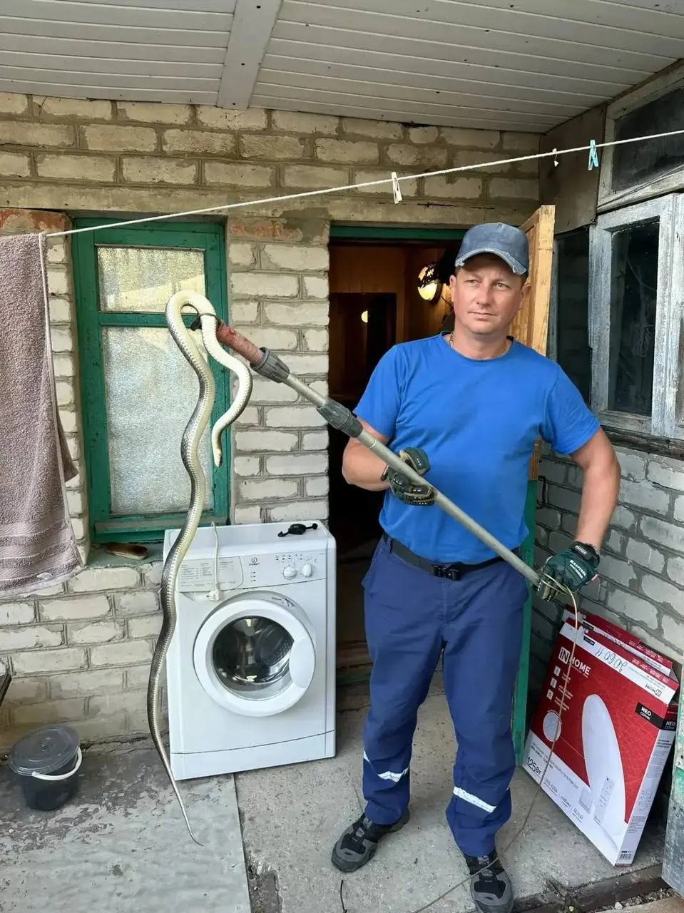 На приусадебном участке в Мысхако змея заползла в баню. Спасатели извлекли рептилию и отпустили в лесополосу.