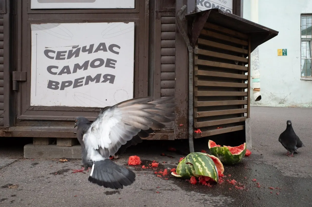 Подводим итоги по событиям в Петербурге и Санкт-Петербурге, а также по политическим и социальным новостям в России и мире: штрафы, выборы и кадровые перестановки.