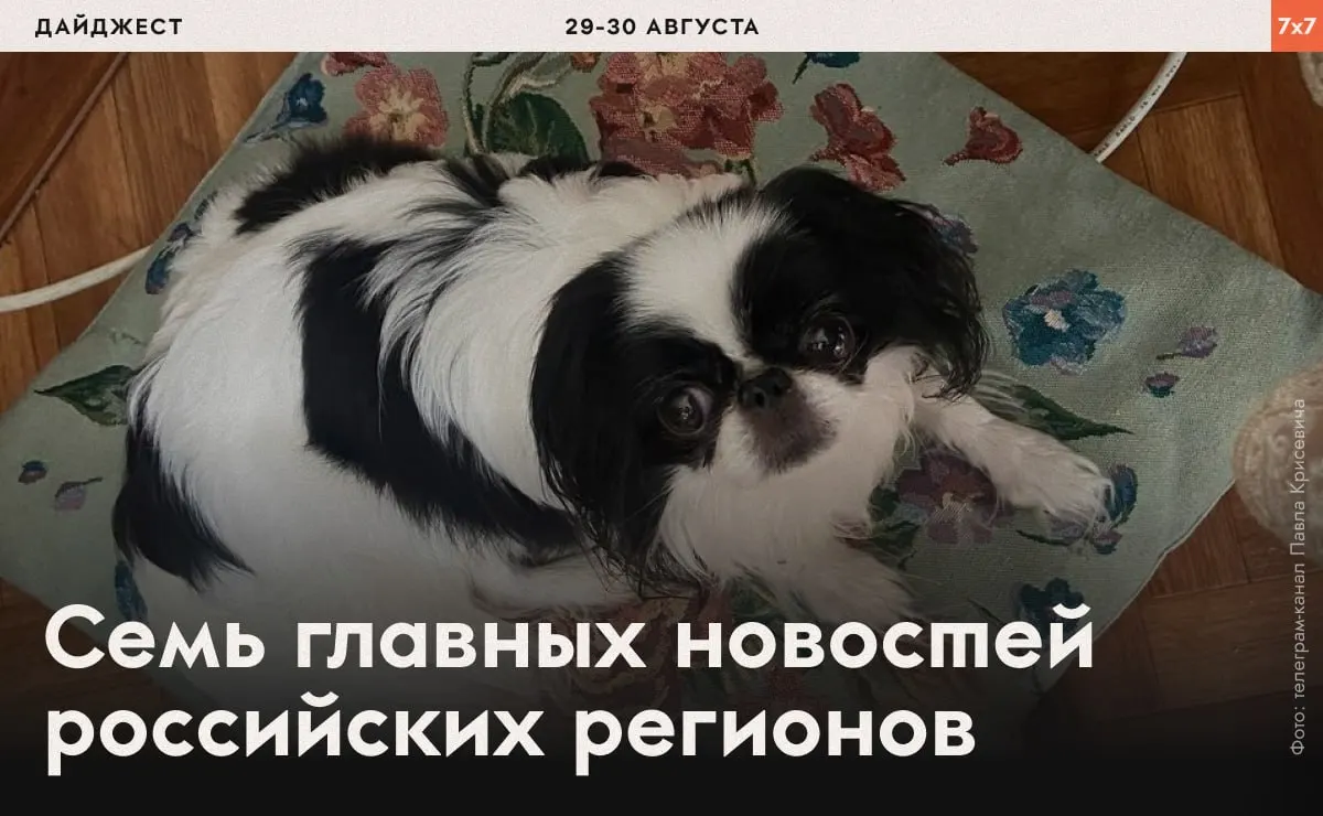 Дайджест о волне задержаний, административных проверках и локальных запретах, затрагивающих несколько регионов страны.