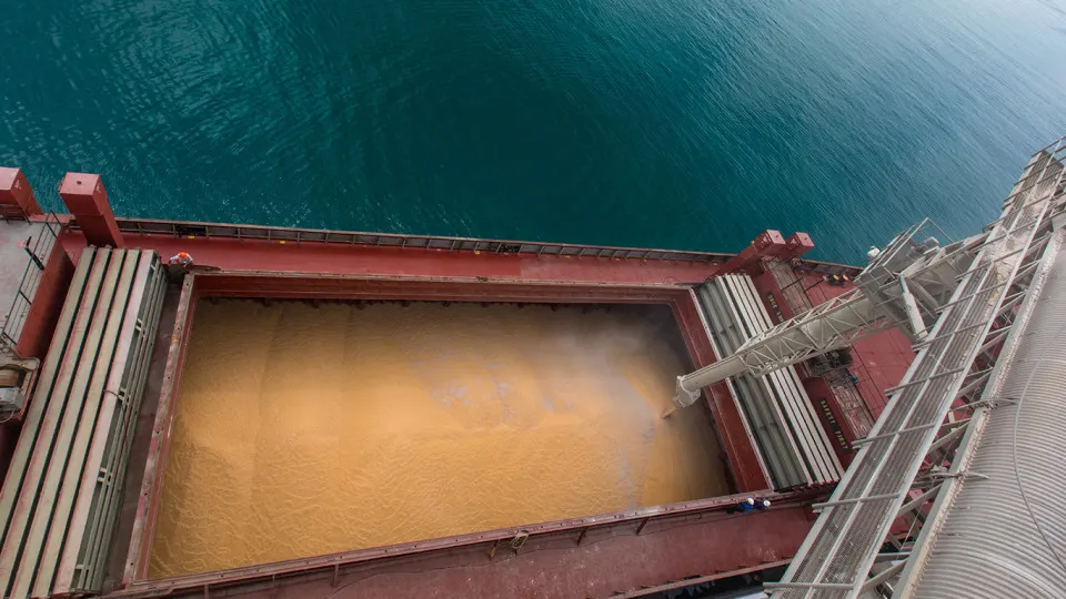 Аналитики оценивают риски для аграриев и спроса на зерно на фоне задержек и остановки зерновых портов.