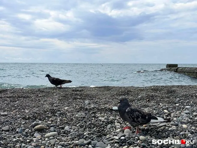 Жителей и гостей курорта просят воздержаться от отдыха у воды.