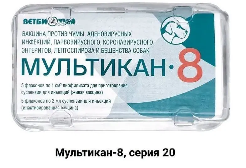 Расследование гибели животных после прививки вызывает общественный резонанс: случаи зафиксированы в нескольких регионах, связь с вакциной «Мультикан-8» обсуждают активисты.