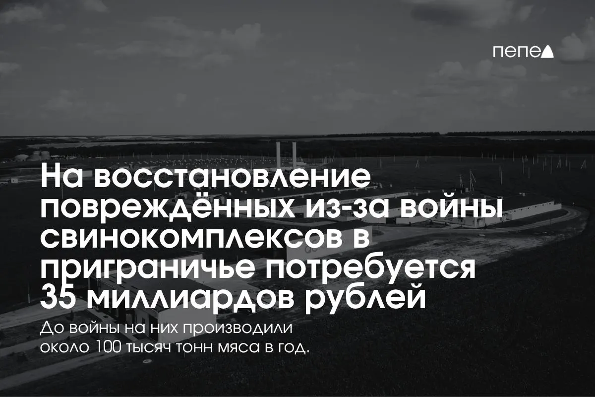 План восстановления свиноводческих предприятий оценивается в 35 млрд рублей, включая усиление безопасности и инфраструктуры в приграничных регионах.