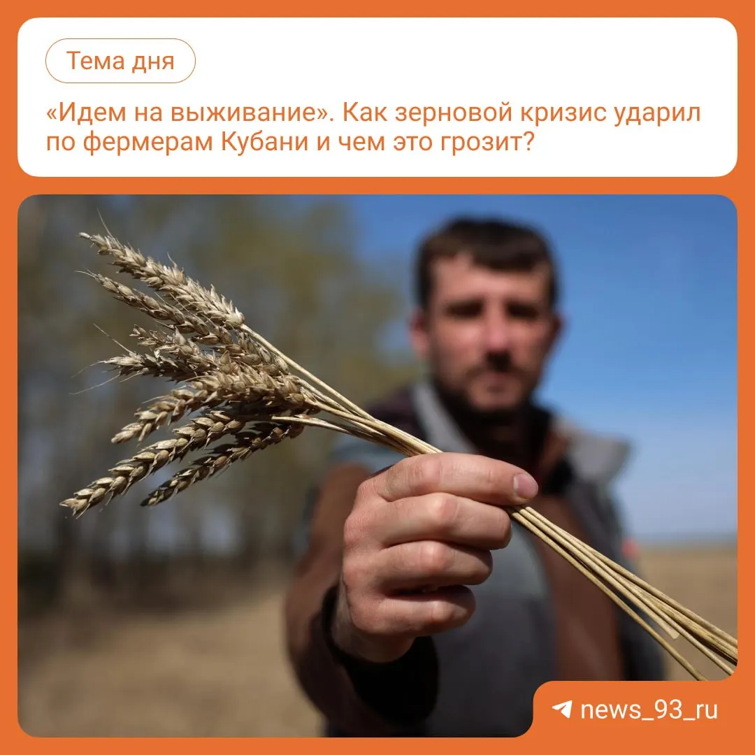 Из-за проблем с экспортом зерновых на Кубани урожай скапливается на складах, а цены на зерно остаются ниже себестоимости, что вынуждает фермеров работать в убыток.