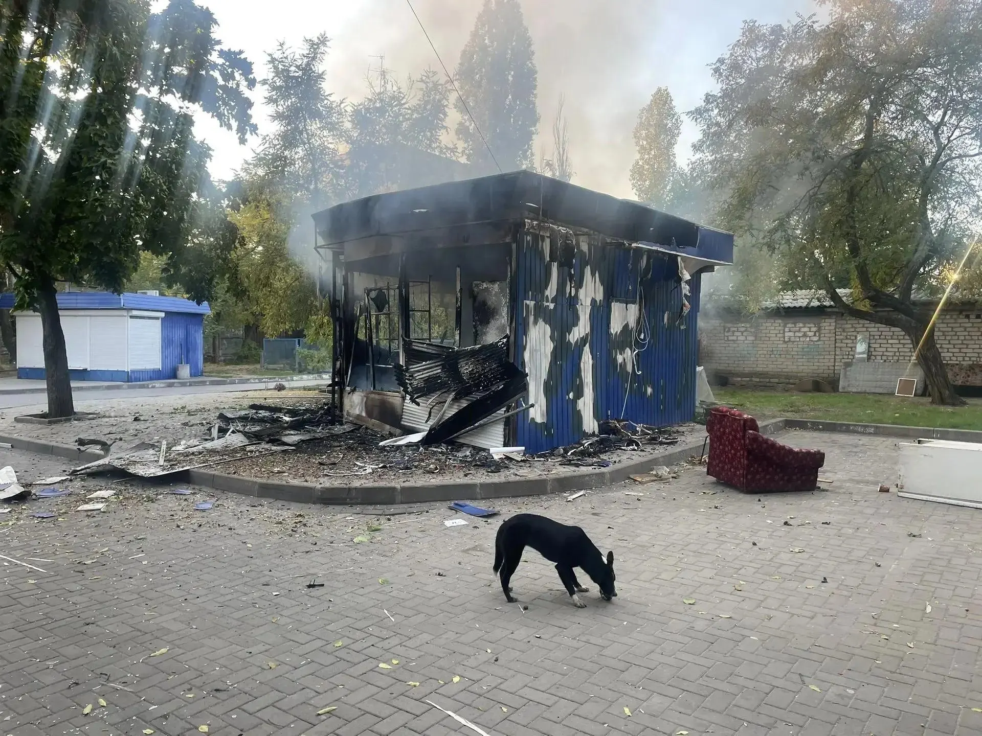 За ночь по территории страны прошлись массированные атаки беспилотников; центр страны стал наиболее затронутым.